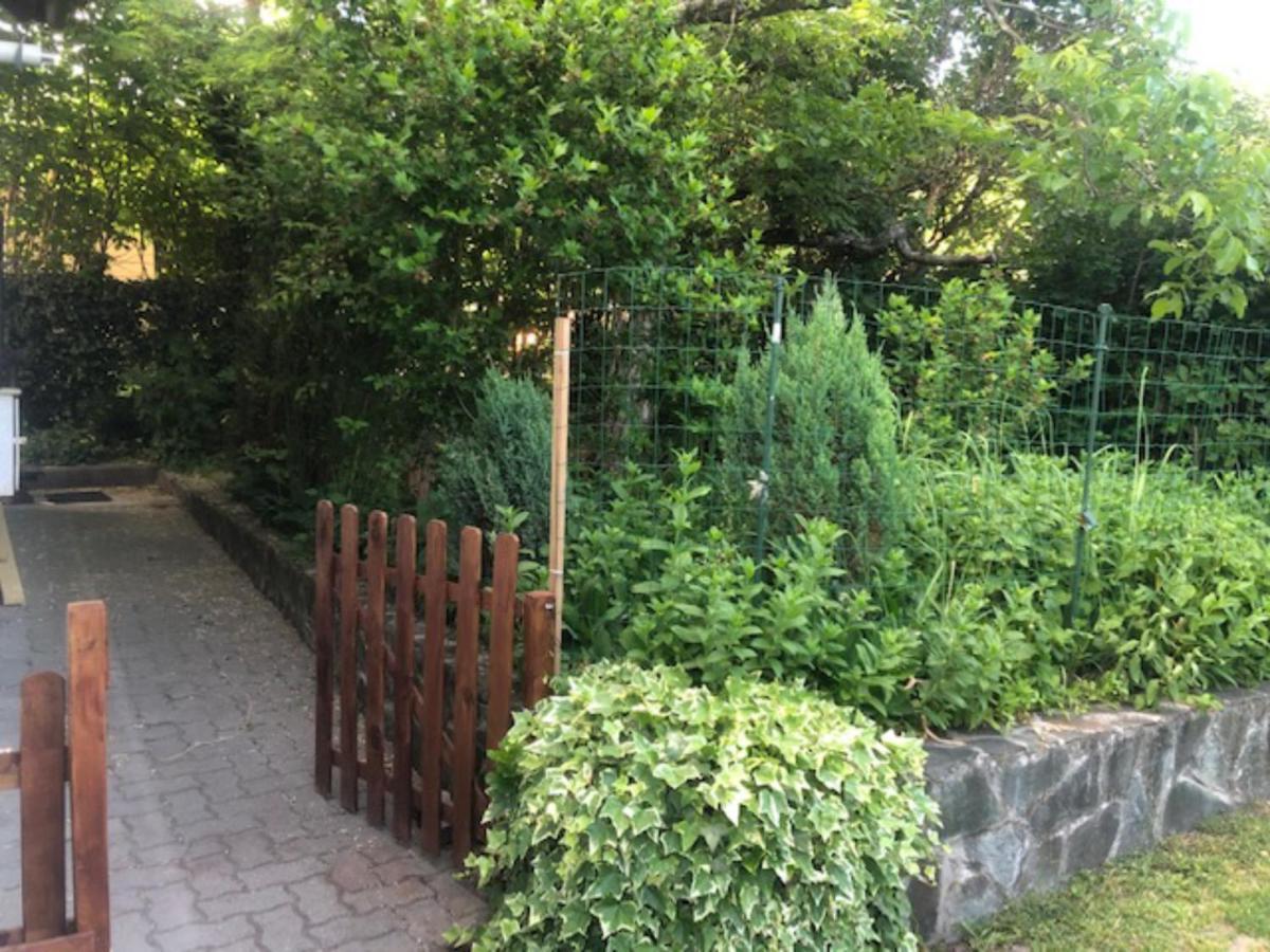 Tulipan Haz Villa Szentendre Exterior foto