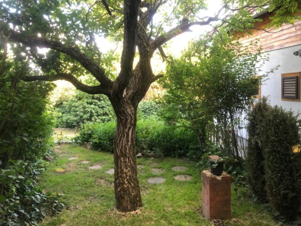 Tulipan Haz Villa Szentendre Exterior foto