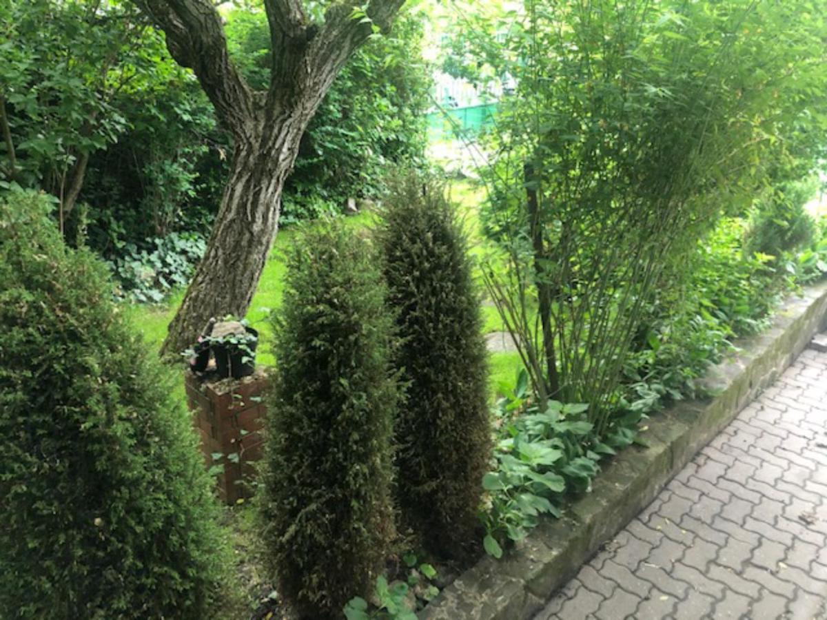 Tulipan Haz Villa Szentendre Exterior foto