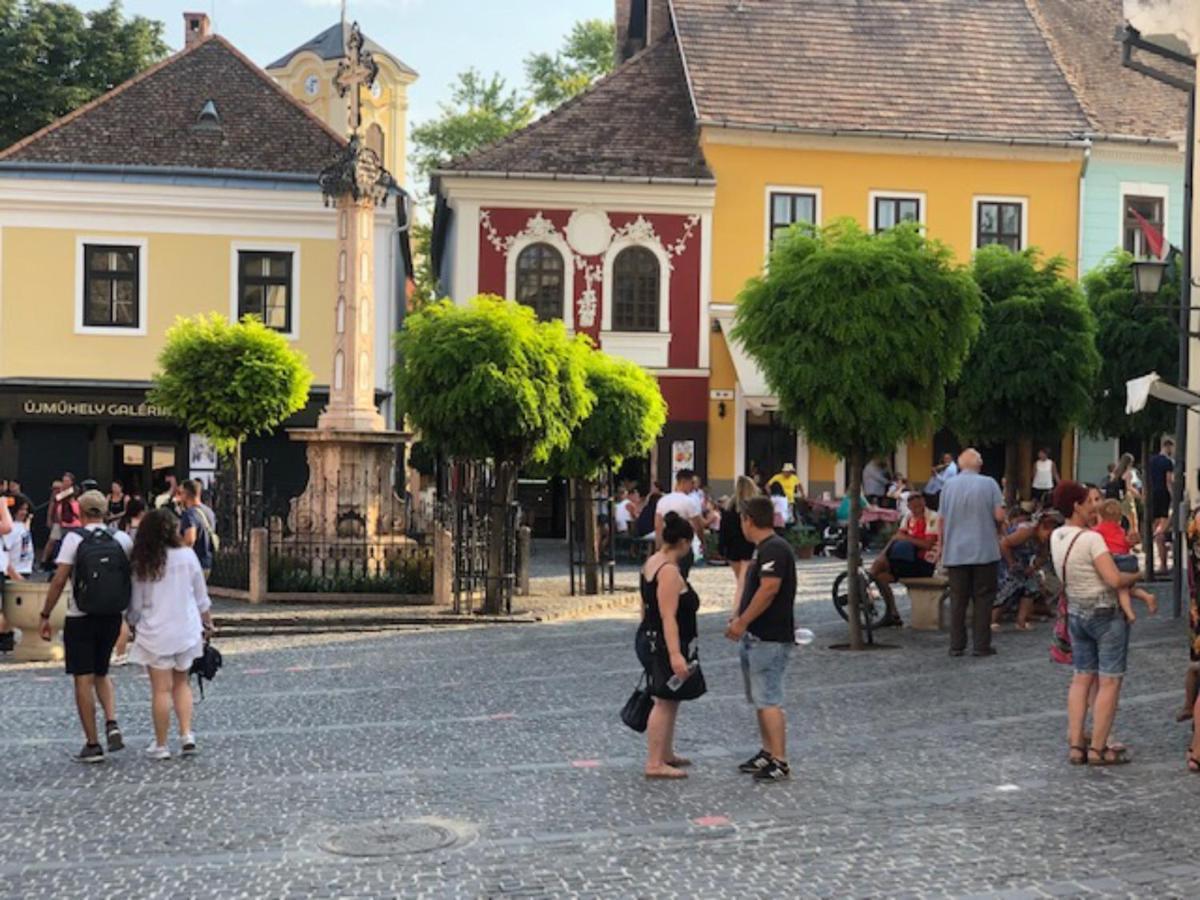 Tulipan Haz Villa Szentendre Exterior foto