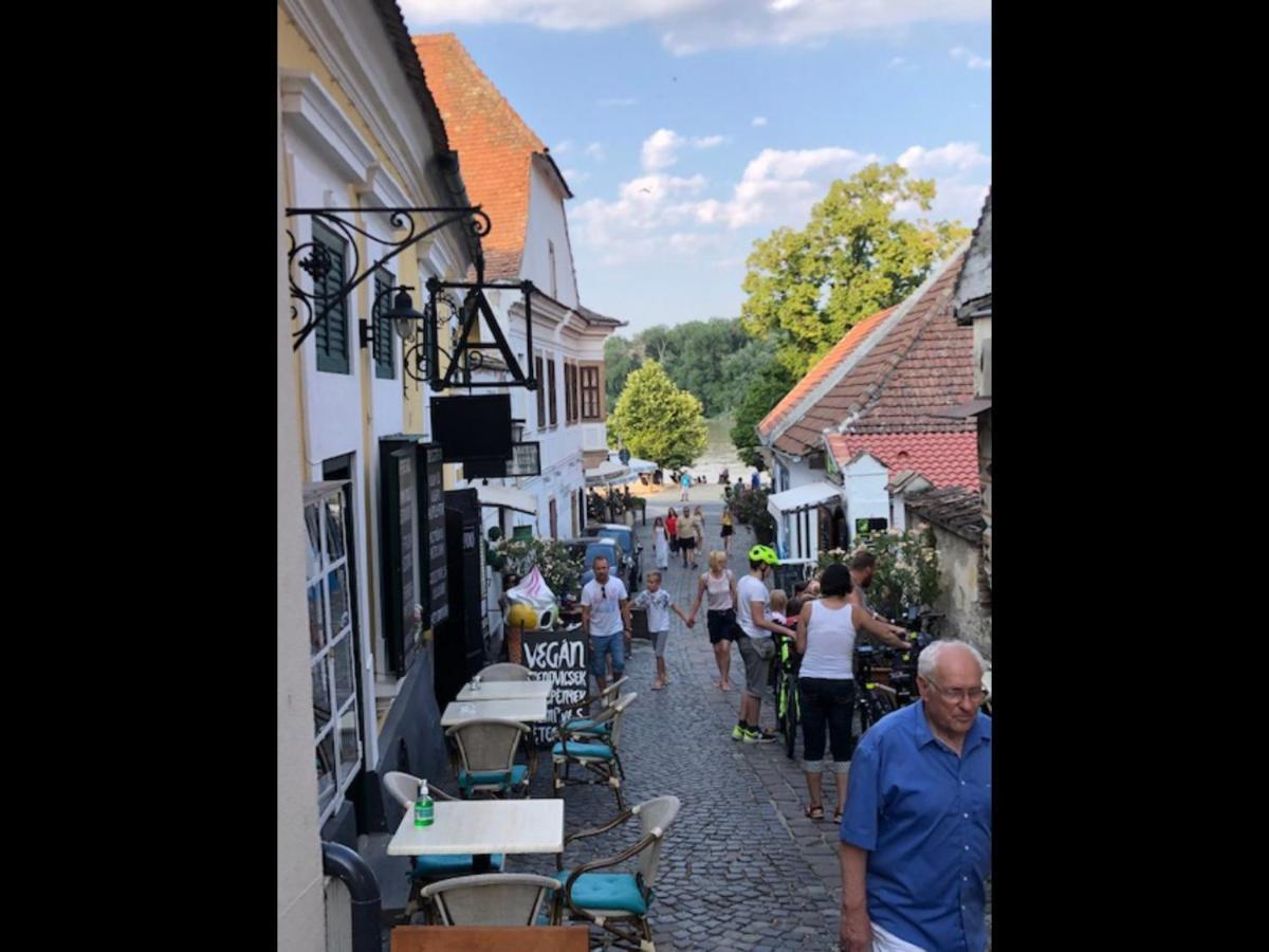 Tulipan Haz Villa Szentendre Exterior foto
